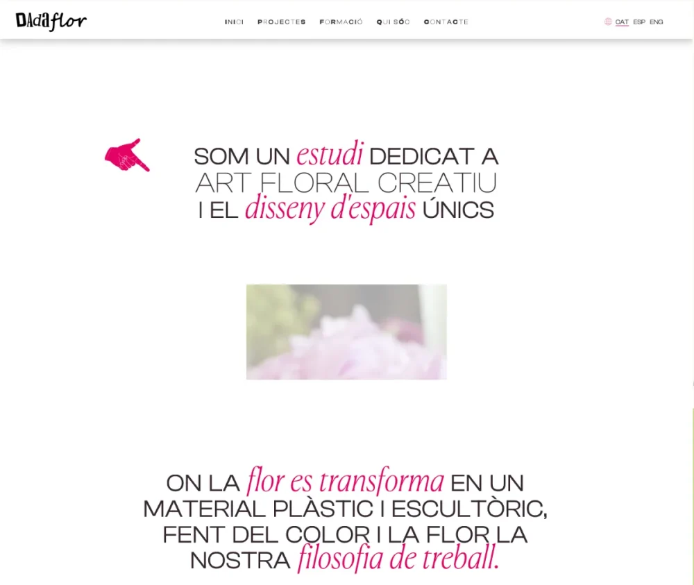 Dadaflor — home de la plataforma